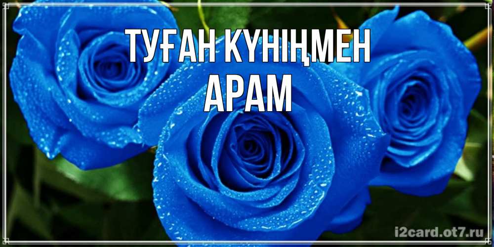 Күн сайын ашық хат с именем, Арам Туған күніңмен розы с синим цветом Онлайн тегін жүктеп алу тілектері бар керемет карта 