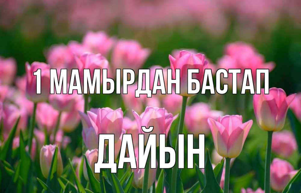 Күн сайын ашық хат с именем, Дайын 1 мамырдан бастап С 1 мая Онлайн тегін жүктеп алу тілектері бар керемет карта 