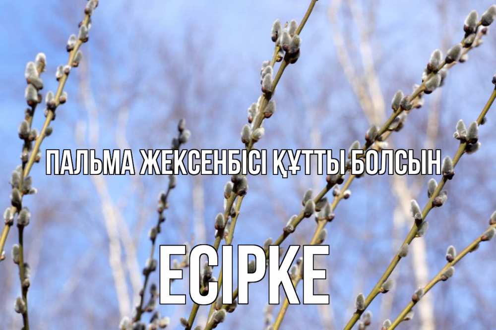 Күн сайын ашық хат с именем, Есірке Пальма жексенбісі құтты болсын верба Онлайн тегін жүктеп алу тілектері бар керемет карта 