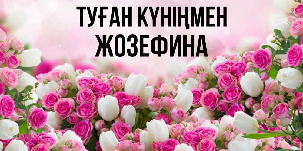 Күн сайын ашық хат с именем, Жозефина Туған күніңмен открытка с разными розами Онлайн тегін жүктеп алу тілектері бар керемет карта 