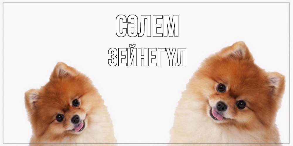 Күн сайын ашық хат с именем, ЗЕЙНЕГҮЛ Сәлем привет Онлайн тегін жүктеп алу тілектері бар керемет карта 