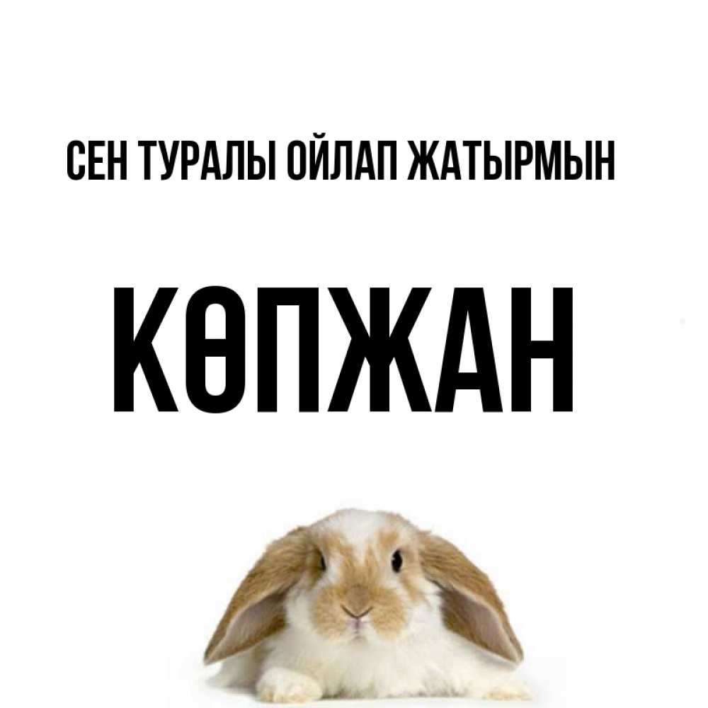 Күн сайын ашық хат с именем, Көпжан Сен туралы ойлап жатырмын подписать своими руками онлайн Онлайн тегін жүктеп алу тілектері бар керемет карта 