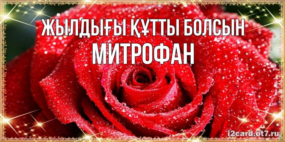Күн сайын ашық хат с именем, Митрофан Жылдығы құтты болсын роса и роза. открытка с красивой розой Онлайн тегін жүктеп алу тілектері бар керемет карта 