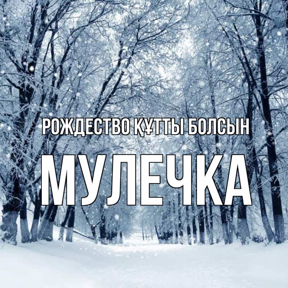 Күн сайын ашық хат с именем, Мулечка Рождество құтты болсын снег, лес, парк Онлайн тегін жүктеп алу тілектері бар керемет карта 