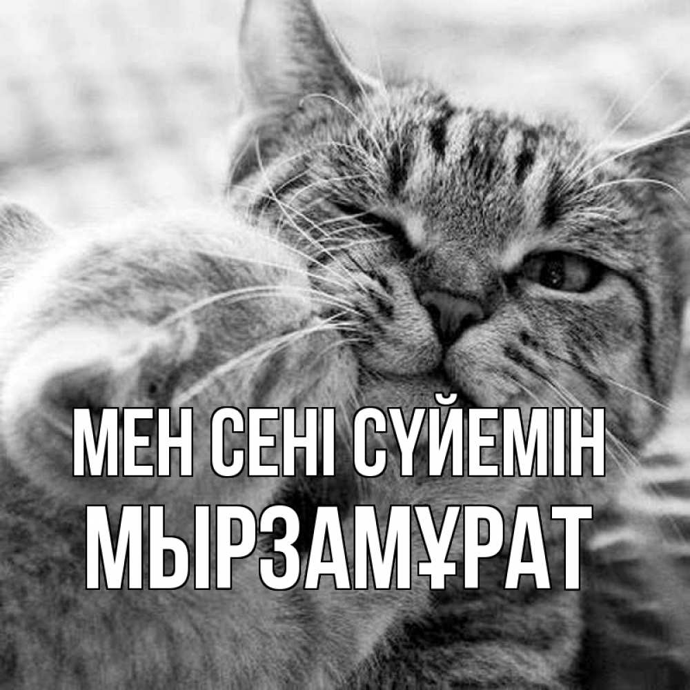 Күн сайын ашық хат с именем, Мырзамұрат Мен сені сүйемін коты Онлайн тегін жүктеп алу тілектері бар керемет карта 