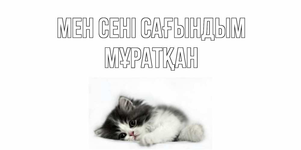 Күн сайын ашық хат с именем, Мұратқан Мен сені сағындым кот, скука Онлайн тегін жүктеп алу тілектері бар керемет карта 