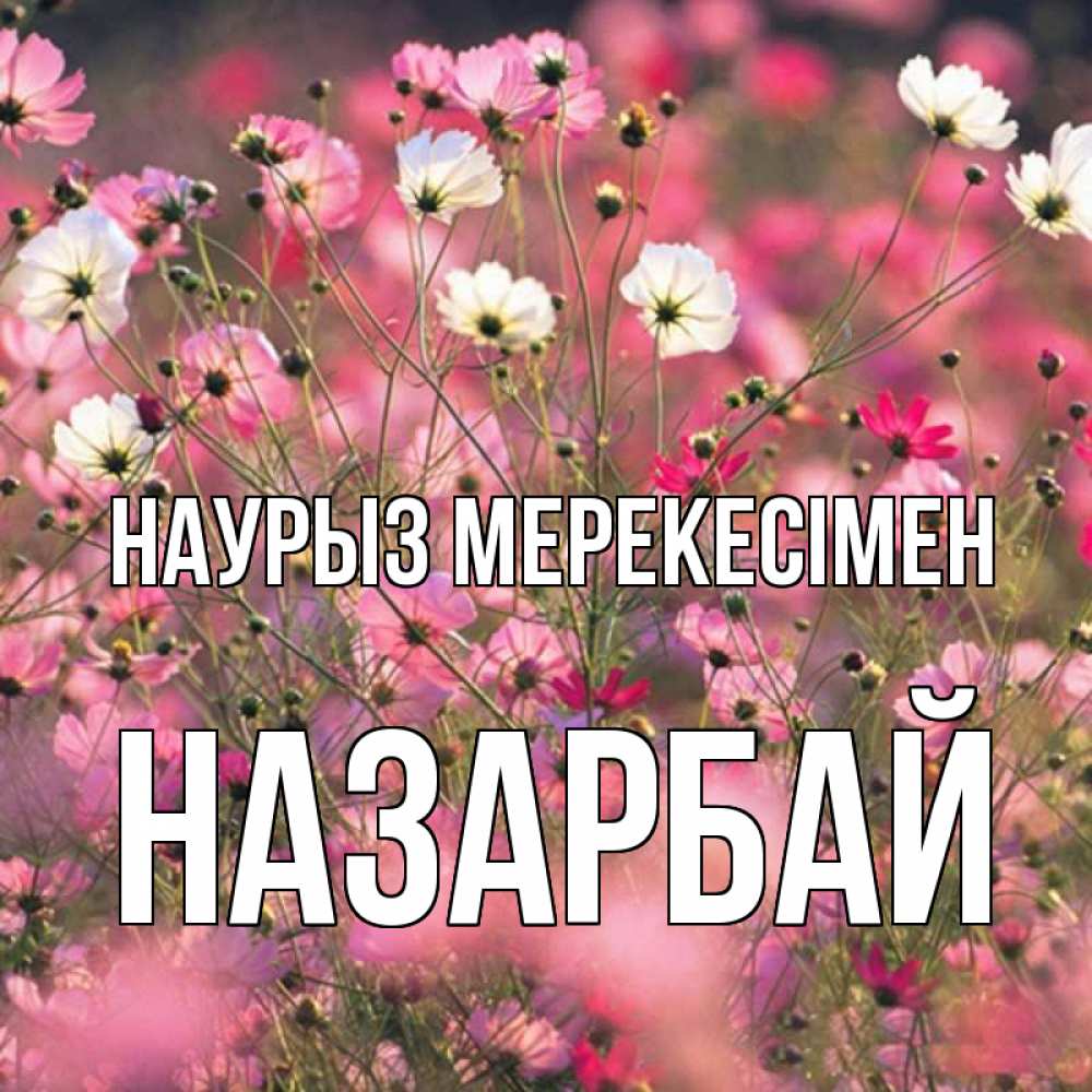 Күн сайын ашық хат с именем, НАЗАРБАЙ Наурыз мерекесімен красиво 1 Онлайн тегін жүктеп алу тілектері бар керемет карта 