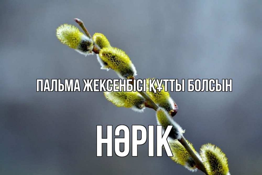 Күн сайын ашық хат с именем, НӘРІК Пальма жексенбісі құтты болсын верба Онлайн тегін жүктеп алу тілектері бар керемет карта 