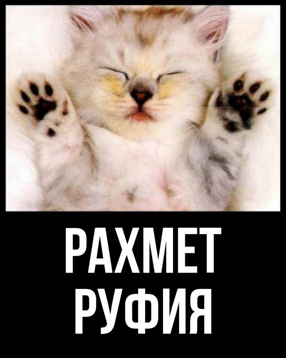Күн сайын ашық хат с именем, РУФИЯ рахмет маленький котенок Онлайн тегін жүктеп алу тілектері бар керемет карта 