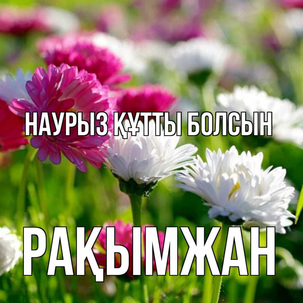 Күн сайын ашық хат с именем, Рақымжан Наурыз құтты болсын наурыз Онлайн тегін жүктеп алу тілектері бар керемет карта 