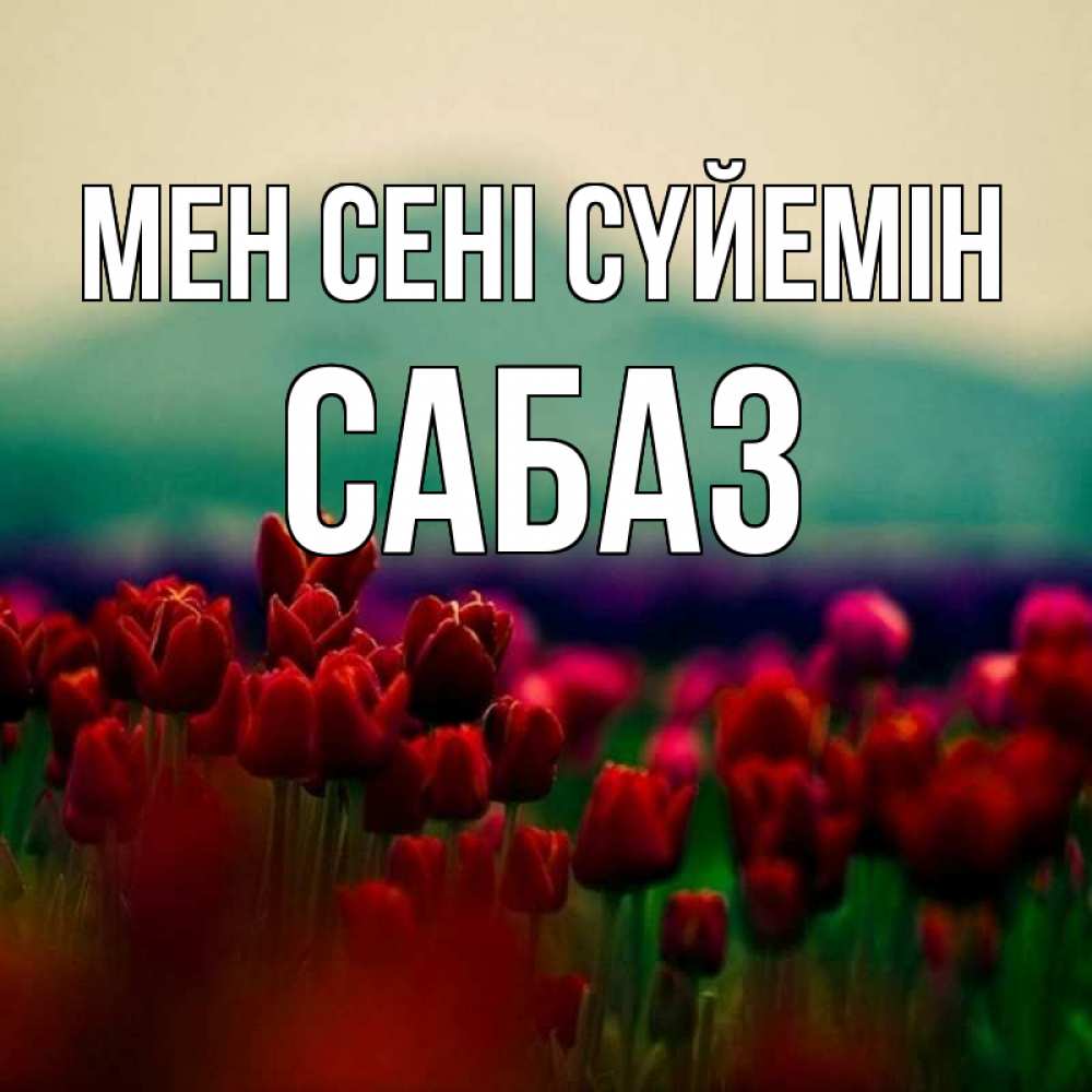 Күн сайын ашық хат с именем, САБАЗ Мен сені сүйемін тюльпаны 4 Онлайн тегін жүктеп алу тілектері бар керемет карта 