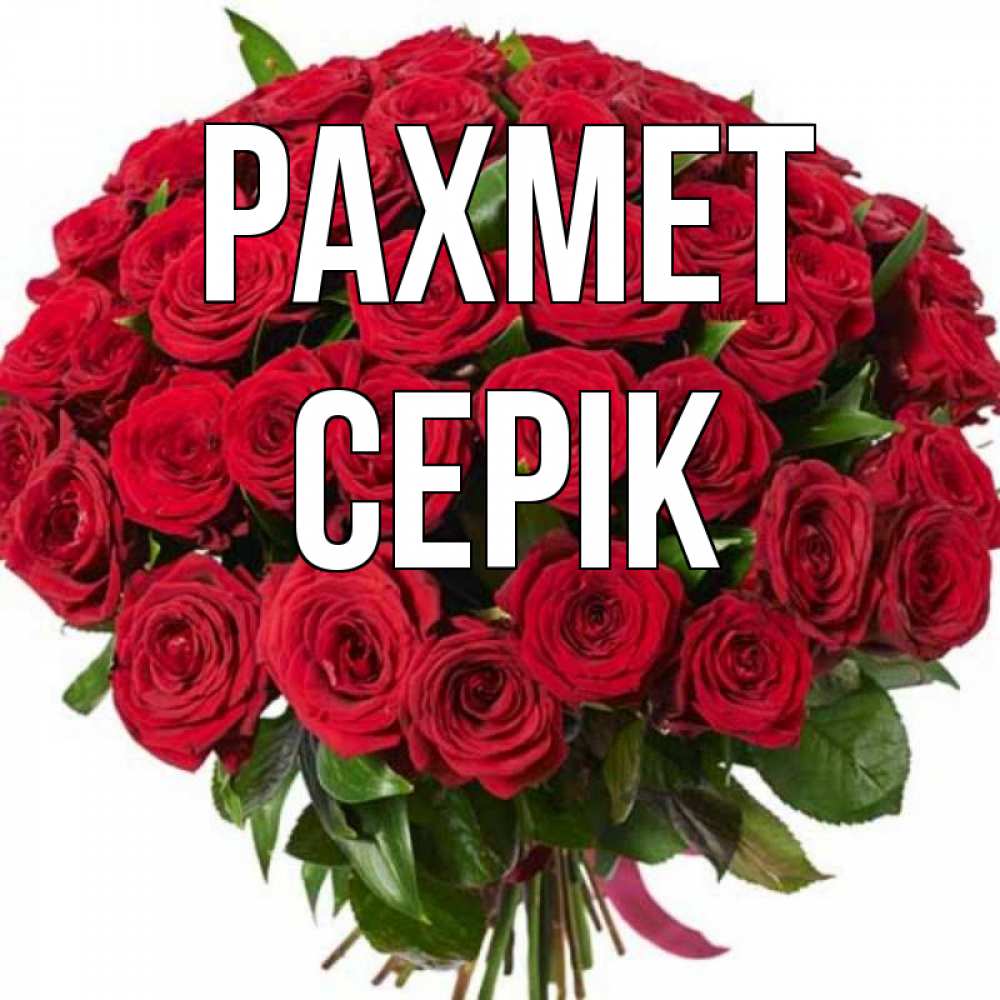 Күн сайын ашық хат с именем, СЕРІК рахмет букет красных роз Онлайн тегін жүктеп алу тілектері бар керемет карта 