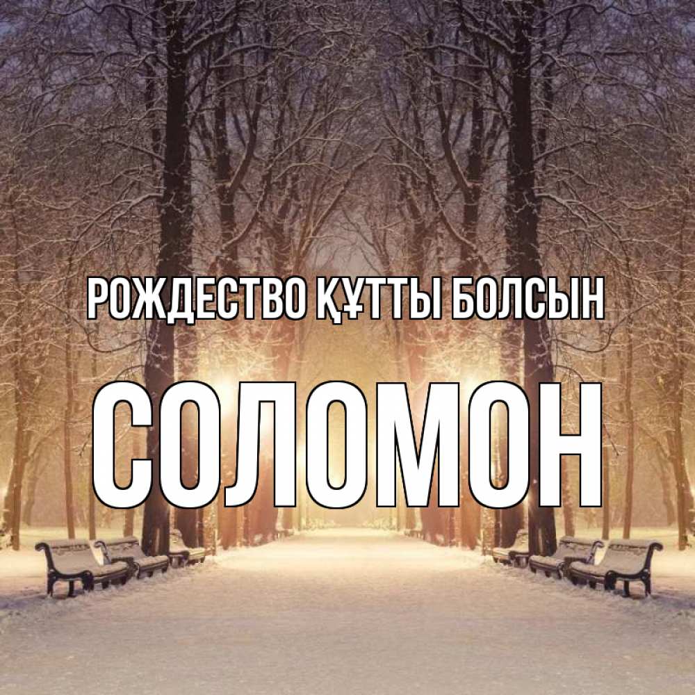 Күн сайын ашық хат с именем, Соломон Рождество құтты болсын зима, парк, фонарь, лес Онлайн тегін жүктеп алу тілектері бар керемет карта 
