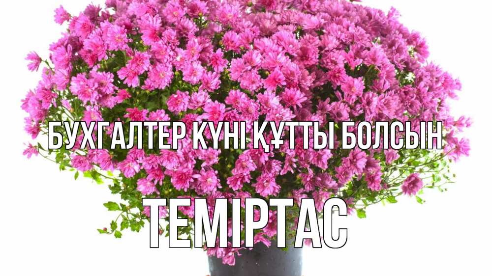 Күн сайын ашық хат с именем, ТЕМІРТАС бухгалтер күні құтты болсын с днем бухгалтера Онлайн тегін жүктеп алу тілектері бар керемет карта 