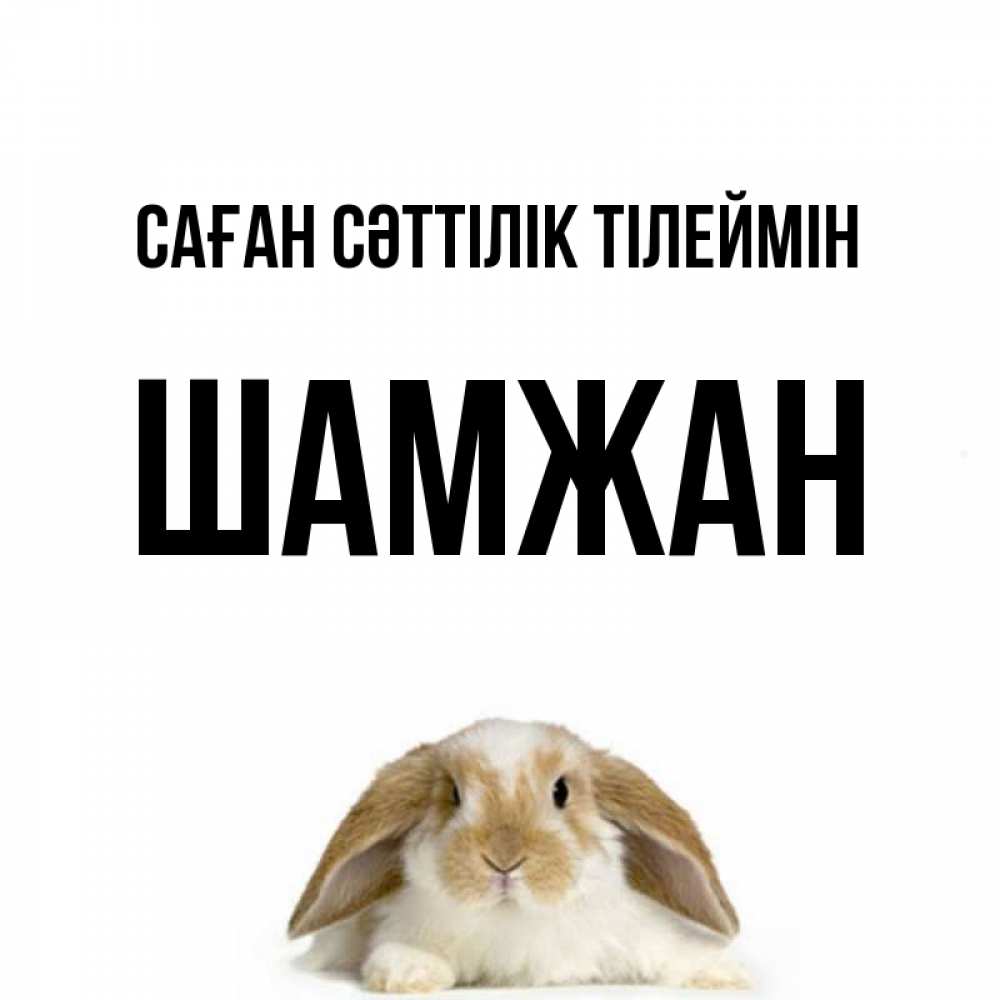 Күн сайын ашық хат с именем, ШАМЖАН Саған сәттілік тілеймін открытки с произвольным текстом который можно вставить в открытку и создать ее самостоятельно бесплатно онлайн Онлайн тегін жүктеп алу тілектері бар керемет карта 