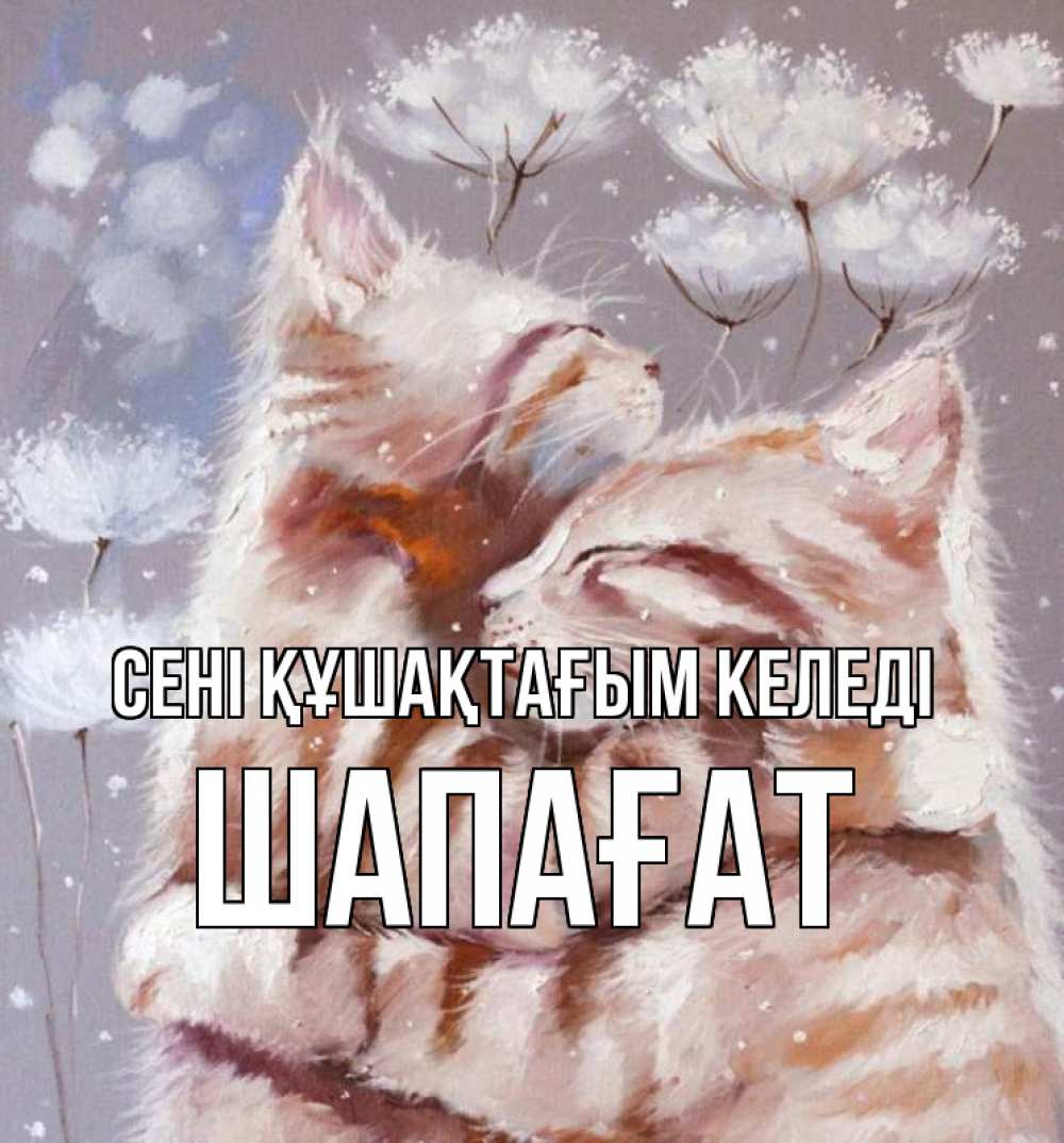 Күн сайын ашық хат с именем, ШАПАҒАТ сені құшақтағым келеді Море и горы Онлайн тегін жүктеп алу тілектері бар керемет карта 