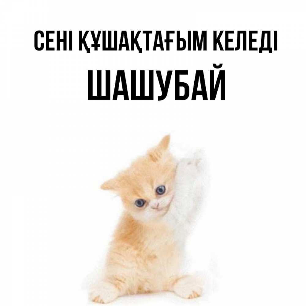 Күн сайын ашық хат с именем, ШАШУБАЙ сені құшақтағым келеді я хочу очень скорее обнимаешек Онлайн тегін жүктеп алу тілектері бар керемет карта 