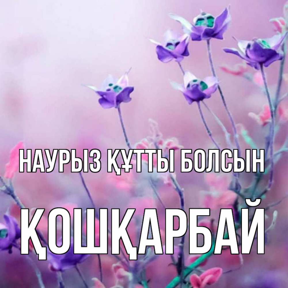 Күн сайын ашық хат с именем, ҚОШҚАРБАЙ Наурыз құтты болсын наурыз  2 Онлайн тегін жүктеп алу тілектері бар керемет карта 