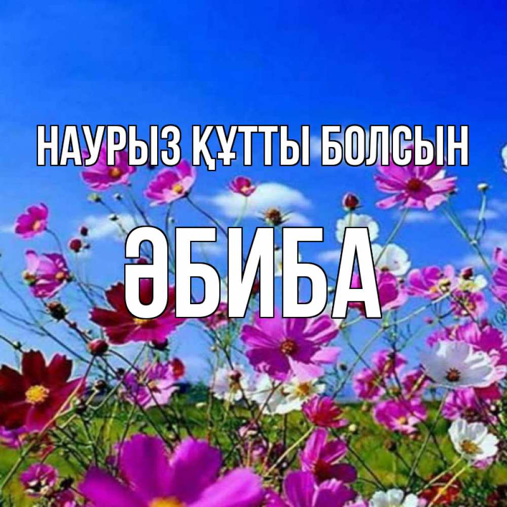 Күн сайын ашық хат с именем, ӘБИБА Наурыз құтты болсын цветы Онлайн тегін жүктеп алу тілектері бар керемет карта 
