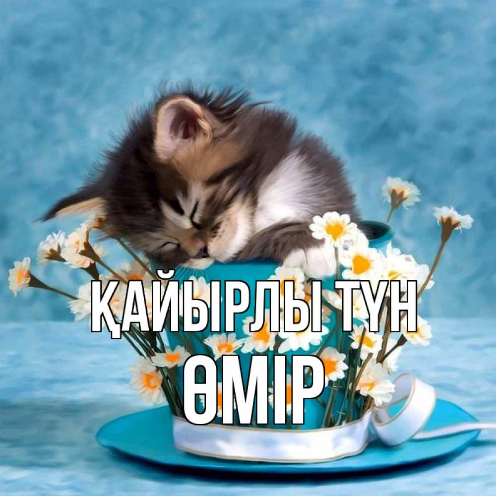 Күн сайын ашық хат с именем, ӨМІР Қайырлы түн котенок спит в кружке с блюдцем Онлайн тегін жүктеп алу тілектері бар керемет карта 