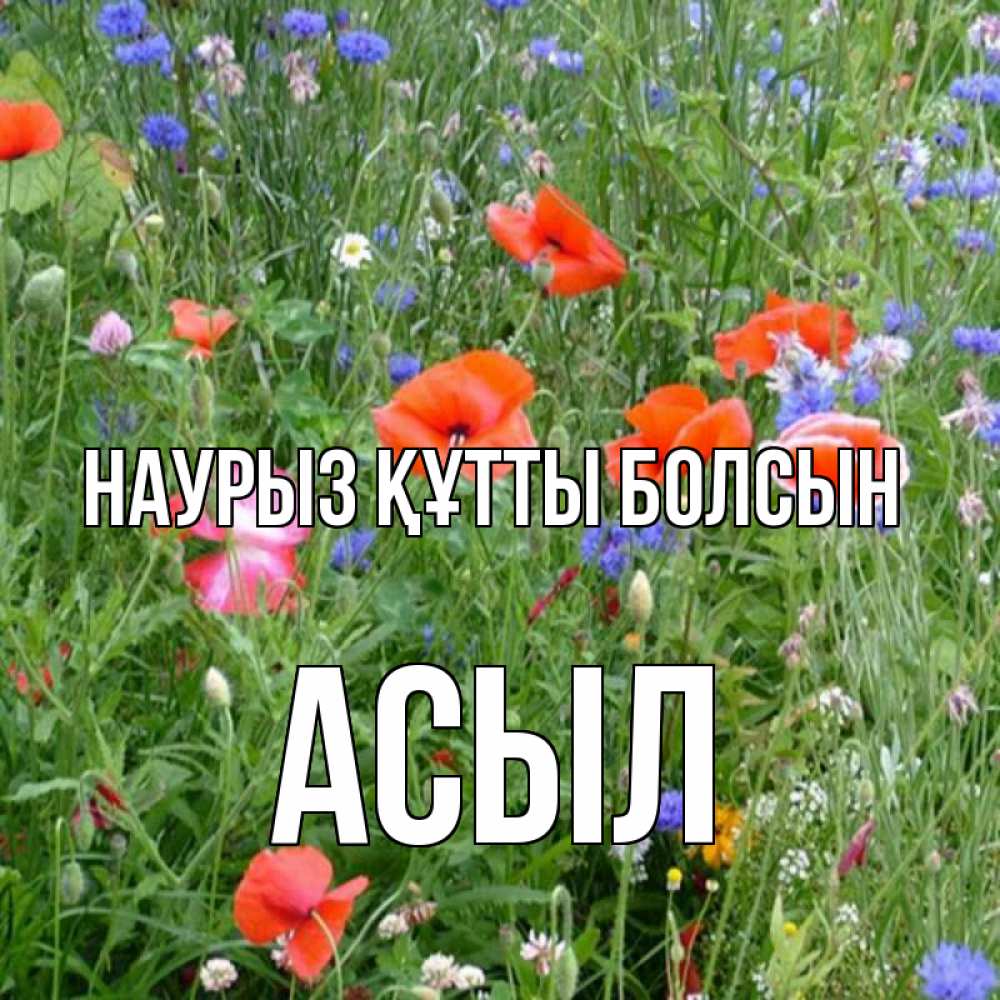 Күн сайын ашық хат с именем, АСЫЛ Наурыз құтты болсын наурыз  4 Онлайн тегін жүктеп алу тілектері бар керемет карта 