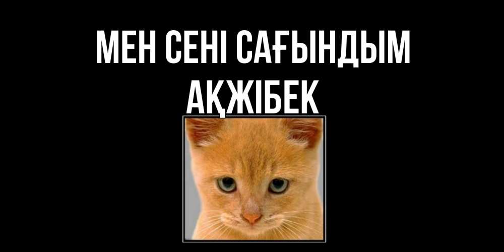 Күн сайын ашық хат с именем, АҚЖІБЕК Мен сені сағындым открытки рыжий котенок скучает по тебе Онлайн тегін жүктеп алу тілектері бар керемет карта 
