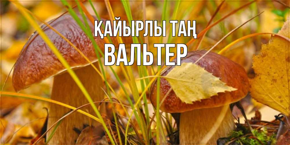 Күн сайын ашық хат с именем, Вальтер Қайырлы таң осенние грибы Онлайн тегін жүктеп алу тілектері бар керемет карта 