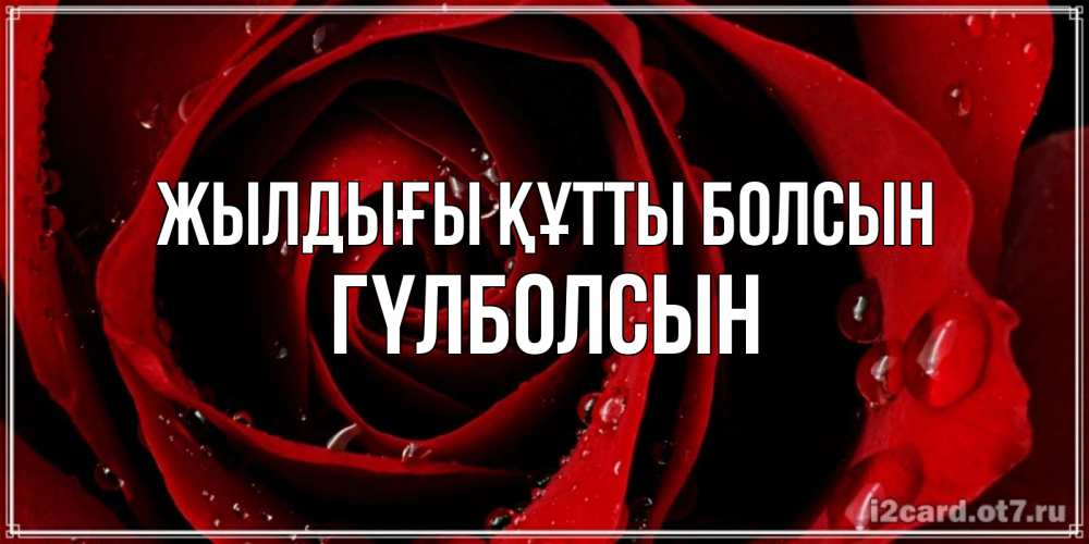 Күн сайын ашық хат с именем, ГҮЛБОЛСЫН Жылдығы құтты болсын крупная бордовая роза Онлайн тегін жүктеп алу тілектері бар керемет карта 