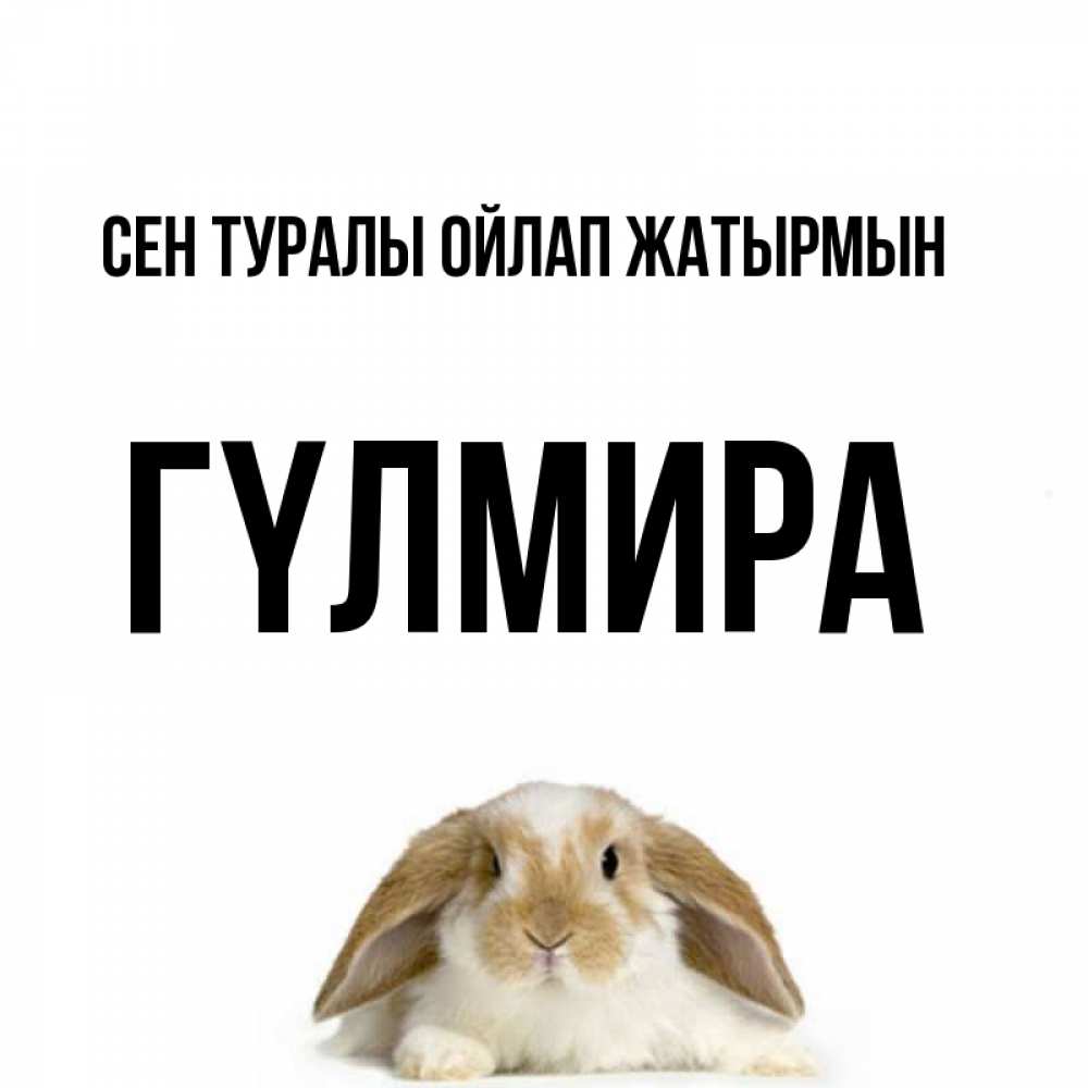 Күн сайын ашық хат с именем, ГҮЛМИРА Сен туралы ойлап жатырмын подписать своими руками онлайн Онлайн тегін жүктеп алу тілектері бар керемет карта 