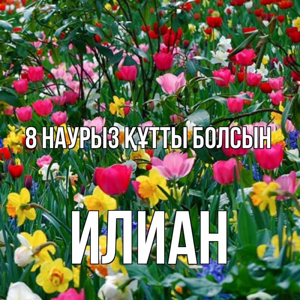 Күн сайын ашық хат с именем, Илиан 8 наурыз құтты болсын с международным женским днем поздравления для женщины Онлайн тегін жүктеп алу тілектері бар керемет карта 