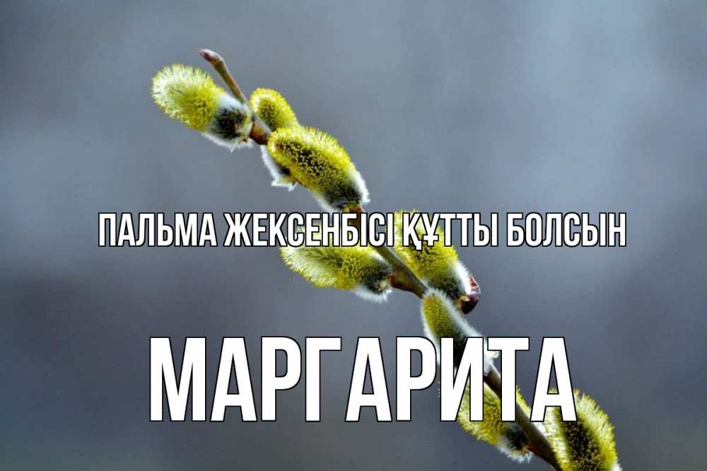Күн сайын ашық хат с именем, Маргарита Пальма жексенбісі құтты болсын верба Онлайн тегін жүктеп алу тілектері бар керемет карта 