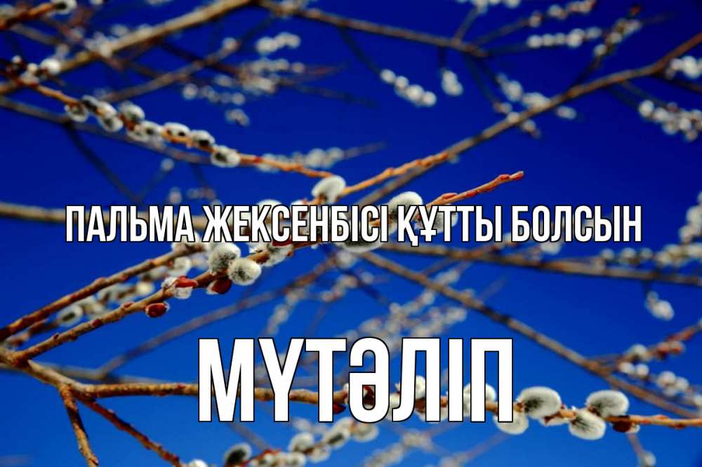 Күн сайын ашық хат с именем, МҮТӘЛІП Пальма жексенбісі құтты болсын верба Онлайн тегін жүктеп алу тілектері бар керемет карта 