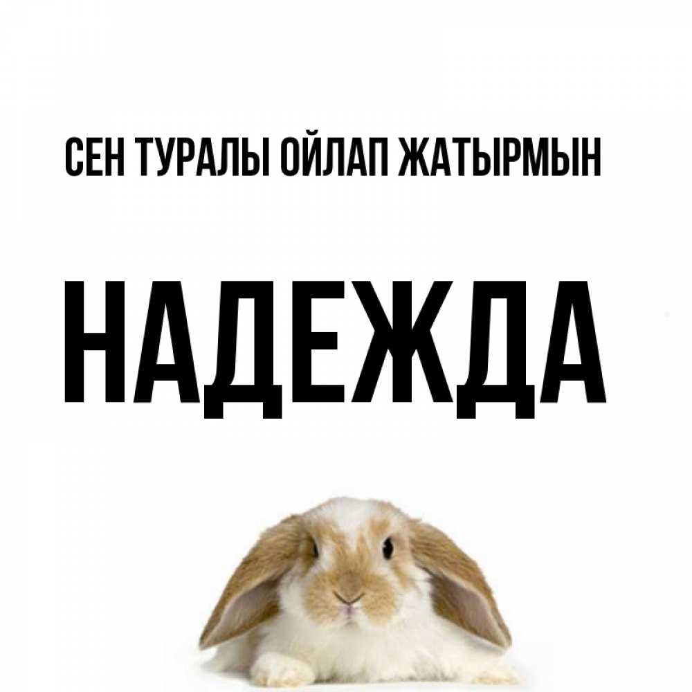 Күн сайын ашық хат с именем, Надежда Сен туралы ойлап жатырмын подписать своими руками онлайн Онлайн тегін жүктеп алу тілектері бар керемет карта 