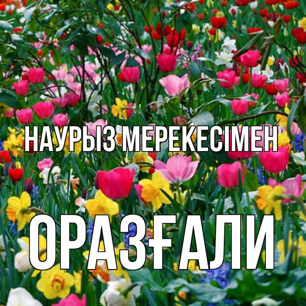 Күн сайын ашық хат с именем, ОРАЗҒАЛИ Наурыз мерекесімен с наурызом праздником весны поздравления для женщины Онлайн тегін жүктеп алу тілектері бар керемет карта 