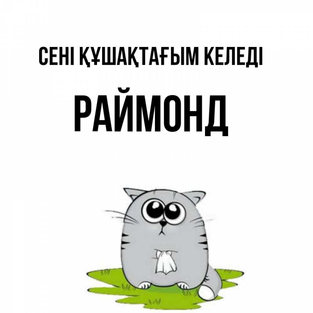 Күн сайын ашық хат с именем, Раймонд сені құшақтағым келеді котик теребит платочек сидя на травке Онлайн тегін жүктеп алу тілектері бар керемет карта 