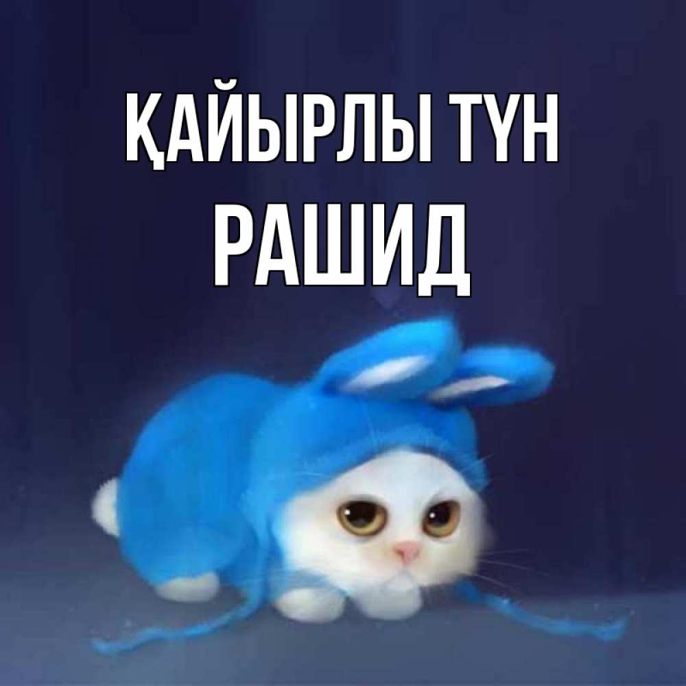 Күн сайын ашық хат с именем, Рашид Қайырлы түн кот в голубом костюме кролика с ушками Онлайн тегін жүктеп алу тілектері бар керемет карта 
