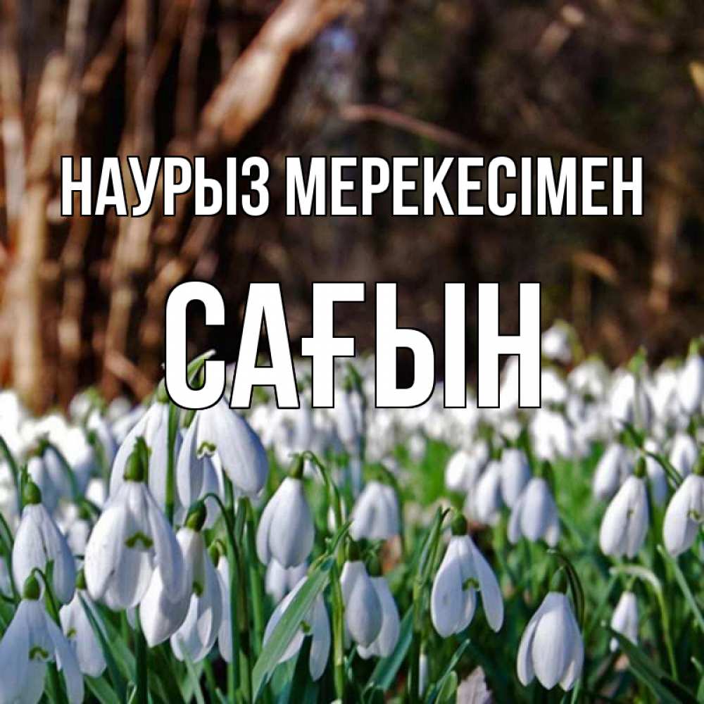 Күн сайын ашық хат с именем, САҒЫН Наурыз мерекесімен с подснежниками 1 Онлайн тегін жүктеп алу тілектері бар керемет карта 