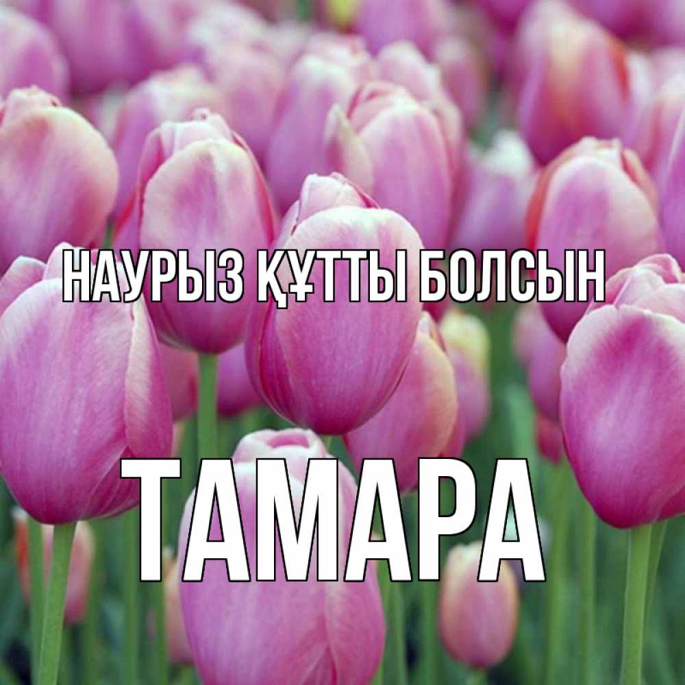 Күн сайын ашық хат с именем, ТАМАРА Наурыз құтты болсын на наурыз  день 3 Онлайн тегін жүктеп алу тілектері бар керемет карта 
