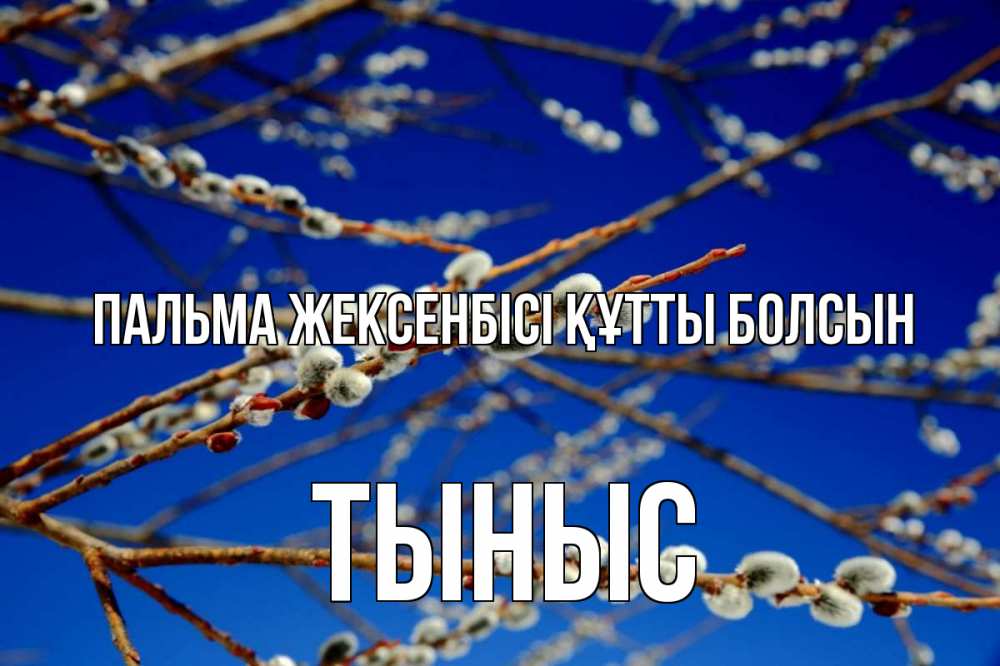 Күн сайын ашық хат с именем, ТЫНЫС Пальма жексенбісі құтты болсын верба Онлайн тегін жүктеп алу тілектері бар керемет карта 