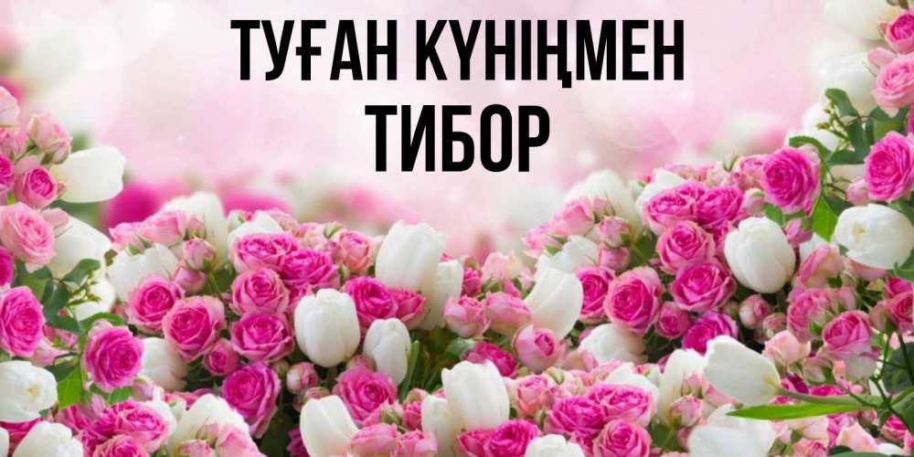 Күн сайын ашық хат с именем, Тибор Туған күніңмен открытка с разными розами Онлайн тегін жүктеп алу тілектері бар керемет карта 