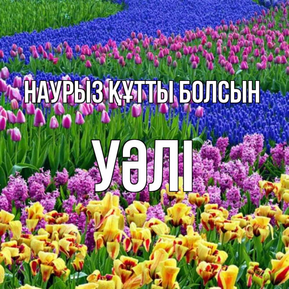 Күн сайын ашық хат с именем, УӘЛІ Наурыз құтты болсын цветы Онлайн тегін жүктеп алу тілектері бар керемет карта 