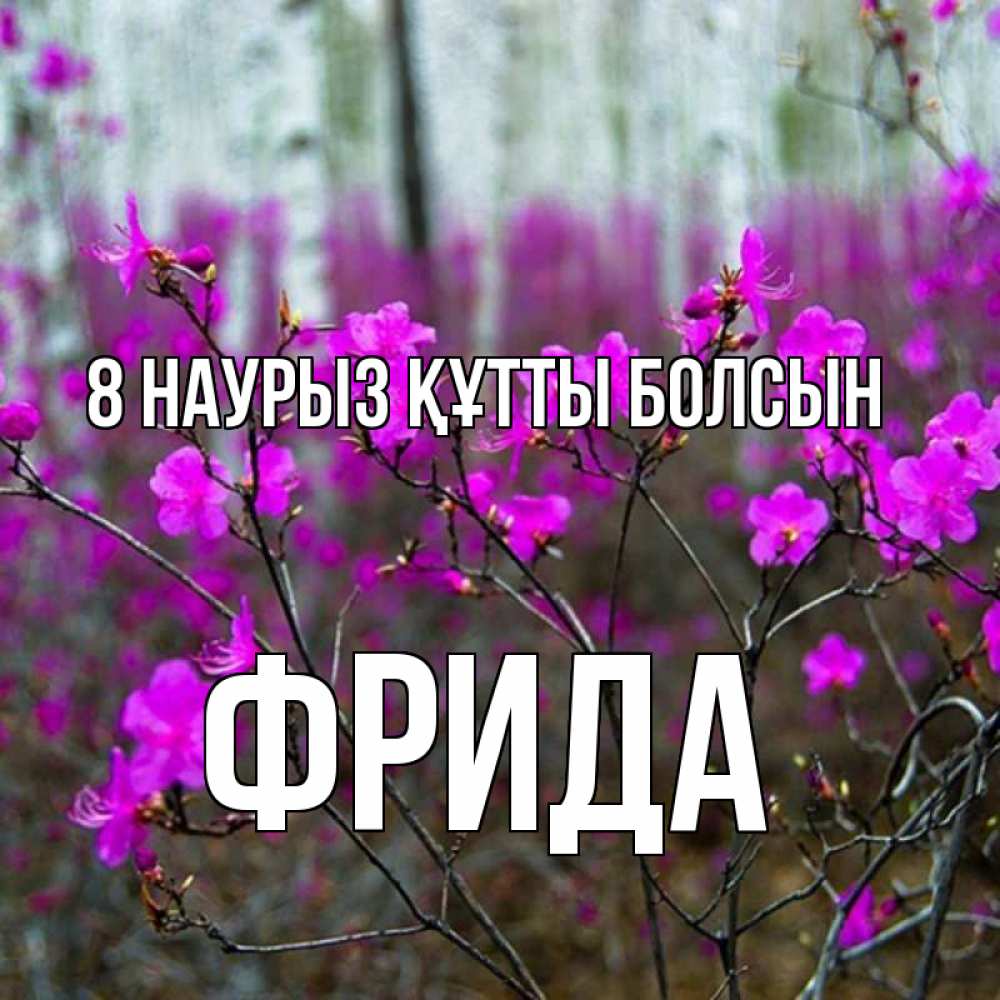 Күн сайын ашық хат с именем, Фрида 8 наурыз құтты болсын дикие цветы Онлайн тегін жүктеп алу тілектері бар керемет карта 
