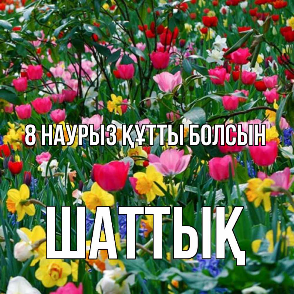 Күн сайын ашық хат с именем, ШАТТЫҚ 8 наурыз құтты болсын с международным женским днем поздравления для женщины Онлайн тегін жүктеп алу тілектері бар керемет карта 