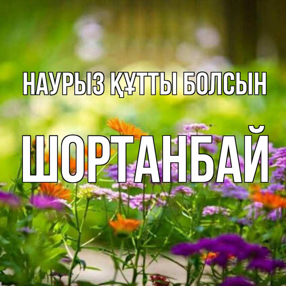 Күн сайын ашық хат с именем, ШОРТАНБАЙ Наурыз құтты болсын цветы Онлайн тегін жүктеп алу тілектері бар керемет карта 