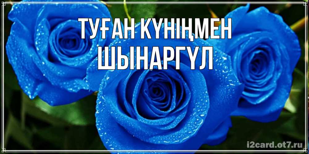Күн сайын ашық хат с именем, ШЫНАРГҮЛ Туған күніңмен розы с синим цветом Онлайн тегін жүктеп алу тілектері бар керемет карта 