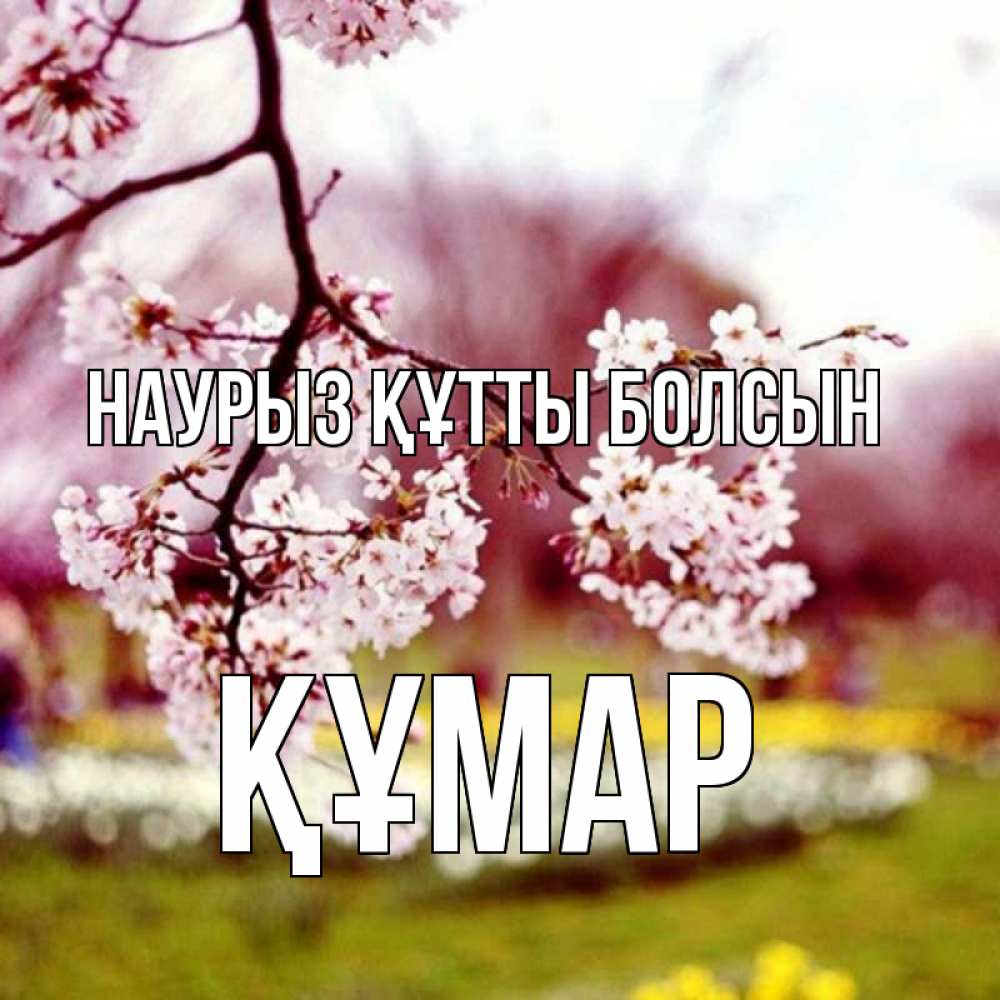 Күн сайын ашық хат с именем, ҚҰМАР Наурыз құтты болсын яблоня Онлайн тегін жүктеп алу тілектері бар керемет карта 