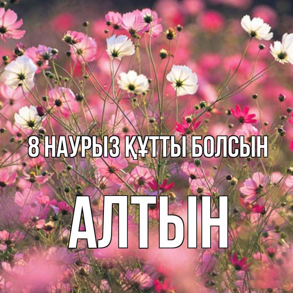 Күн сайын ашық хат с именем, АЛТЫН 8 наурыз құтты болсын красиво 1 Онлайн тегін жүктеп алу тілектері бар керемет карта 