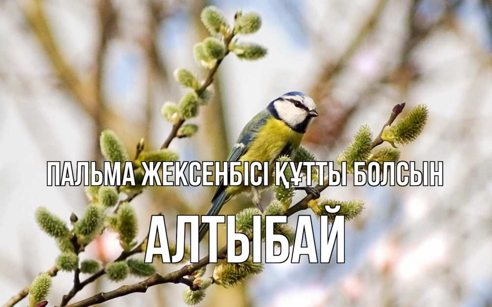 Күн сайын ашық хат с именем, Алтыбай Пальма жексенбісі құтты болсын верба Онлайн тегін жүктеп алу тілектері бар керемет карта 