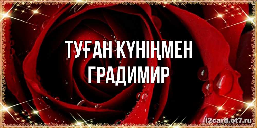 Күн сайын ашық хат с именем, Градимир Туған күніңмен цветок в росе на день рождения Онлайн тегін жүктеп алу тілектері бар керемет карта 