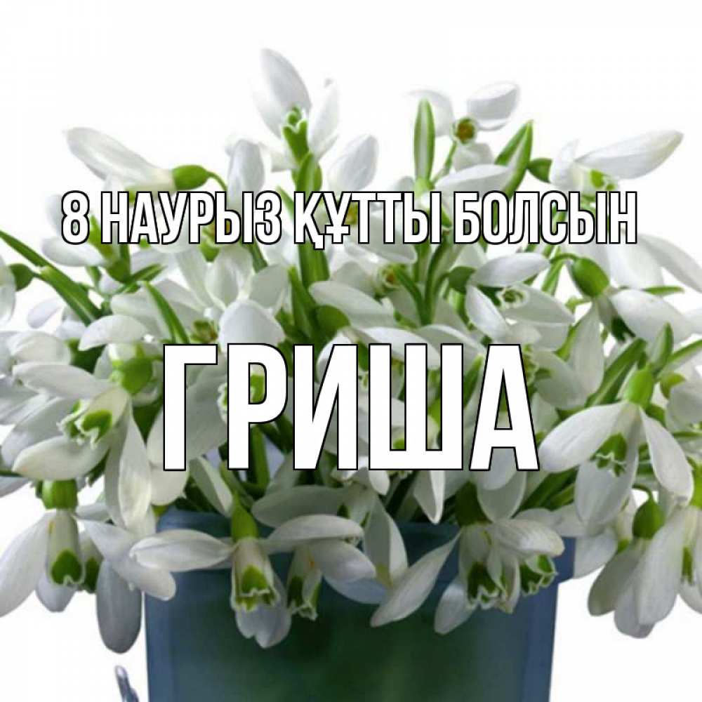 Күн сайын ашық хат с именем, Гриша 8 наурыз құтты болсын цветы к международному женскому дню Онлайн тегін жүктеп алу тілектері бар керемет карта 